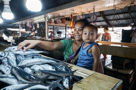 rare_filipina|Philippines – Rare :: Fish Forever Data Portal.